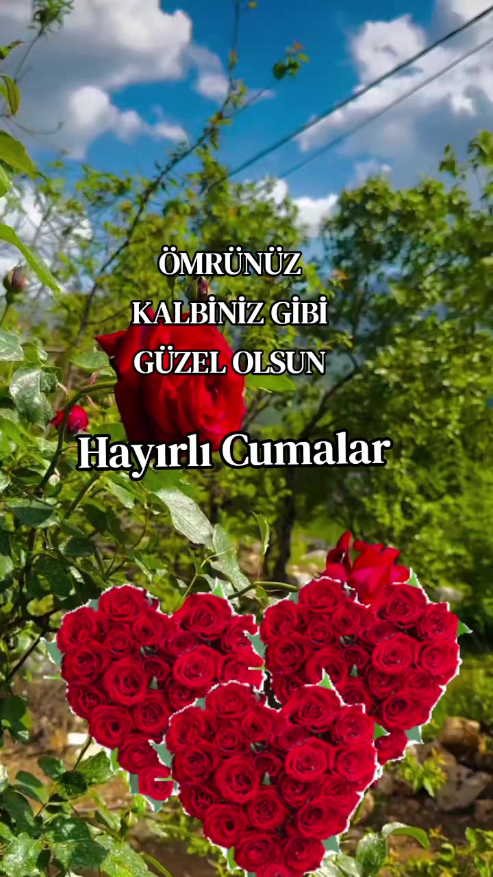 @Masal