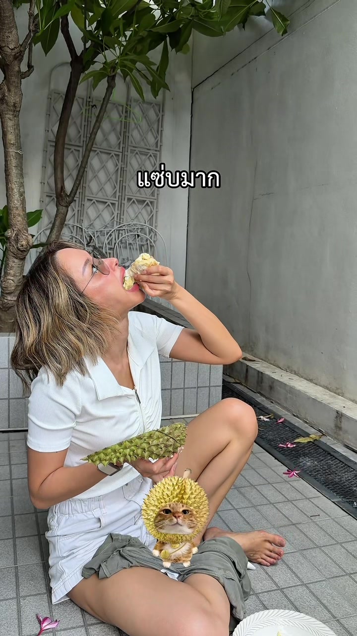 @Namcha