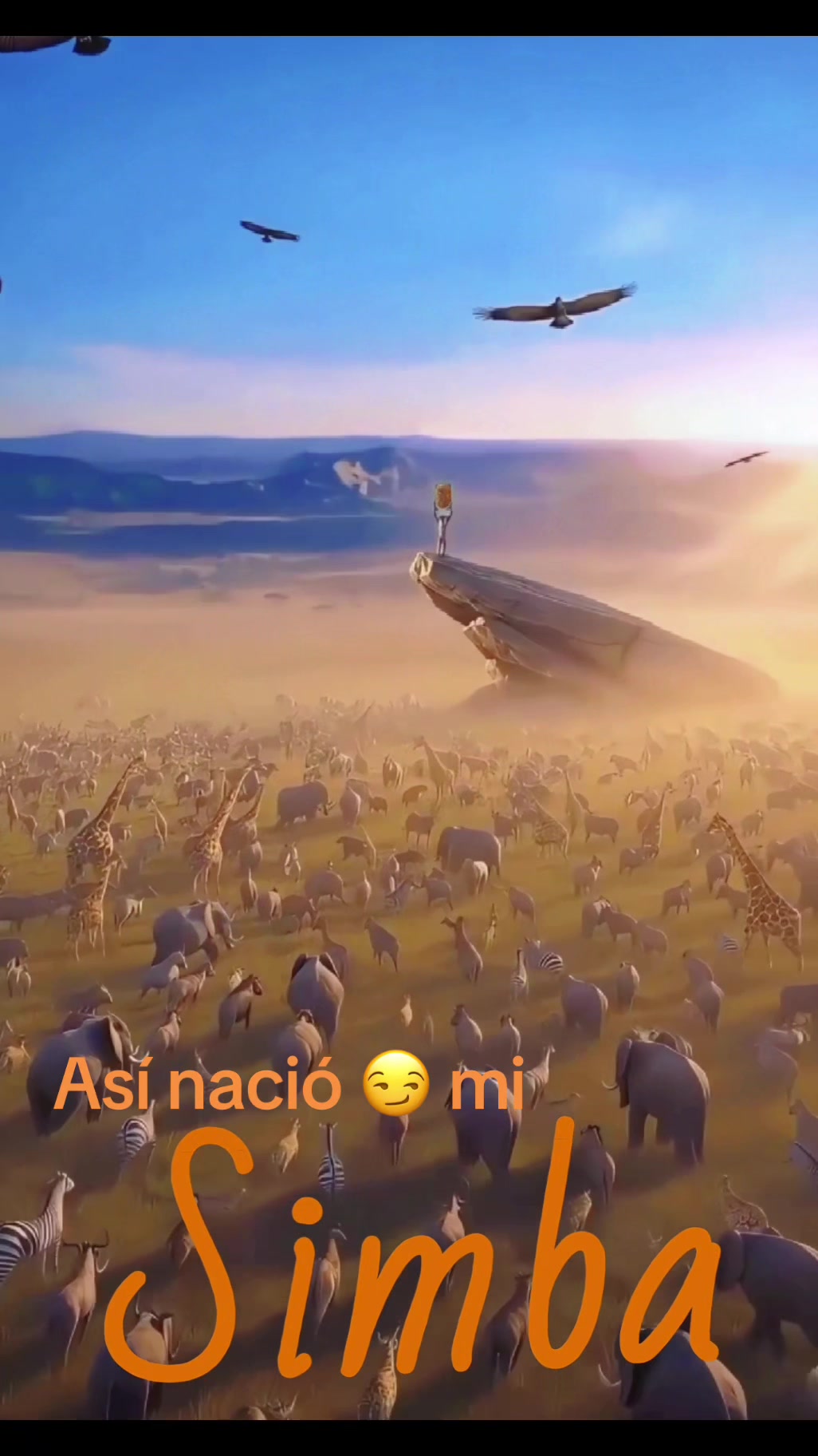 @Jeimiemoon🌙