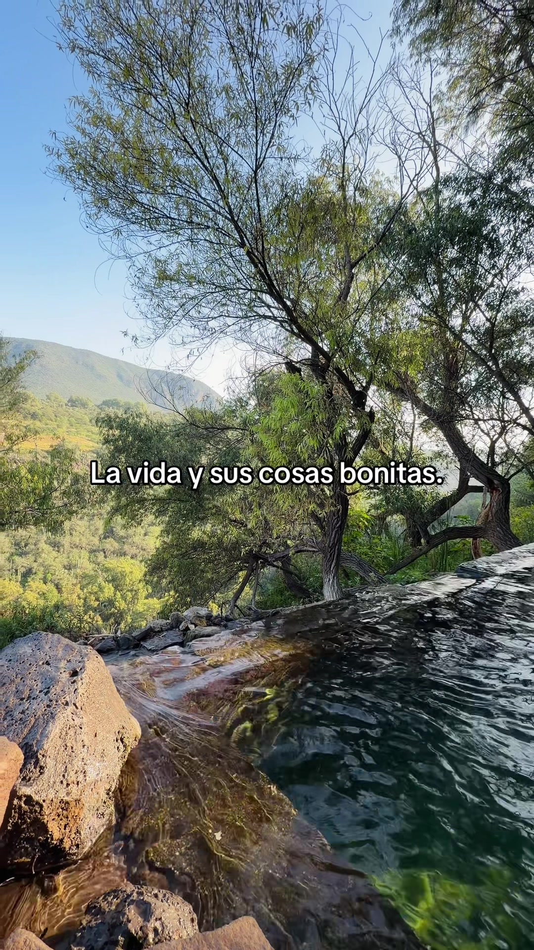 @CANELA