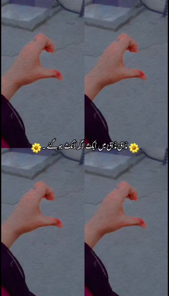 @✨🥰𝑴𝒚❤️𝑳𝒊𝒇𝒆𝒍𝒊𝒏𝒆🥰✨