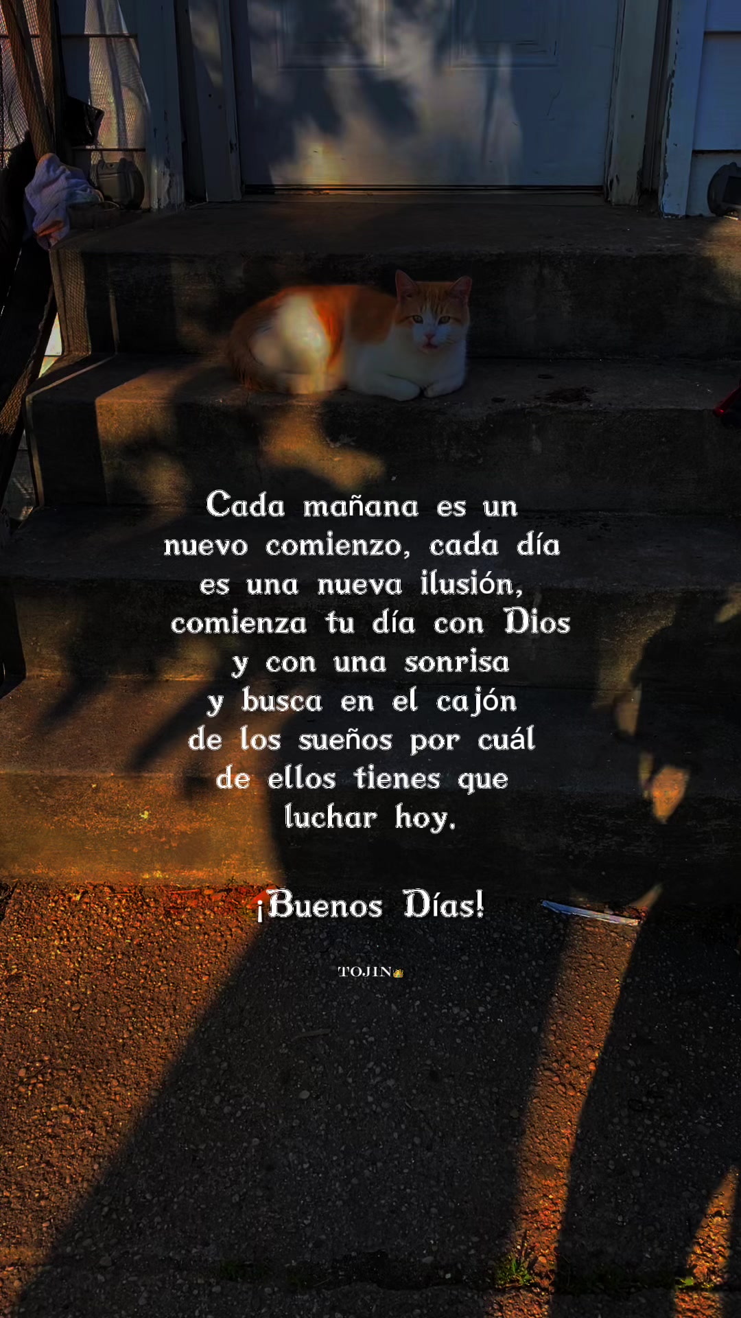 @💛Bonita_Girasol91