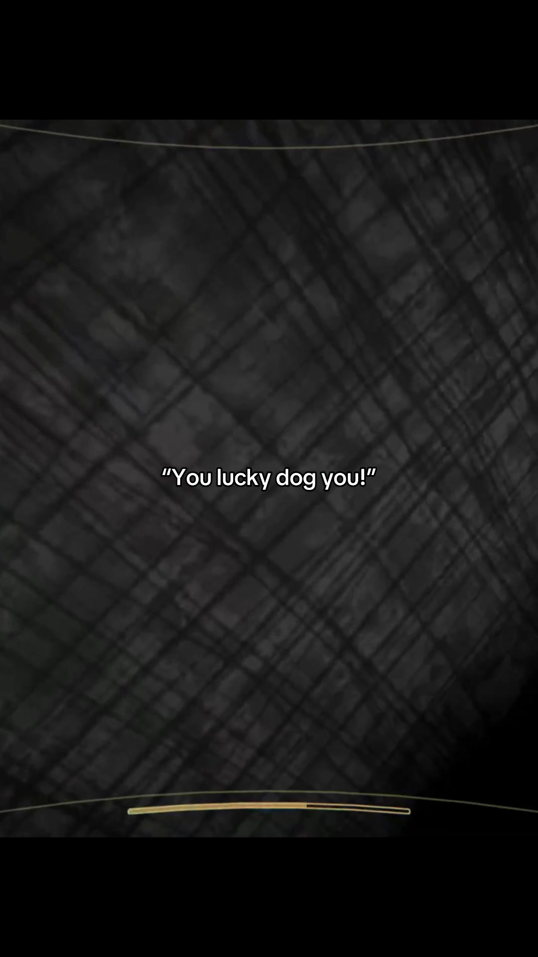 @Noah