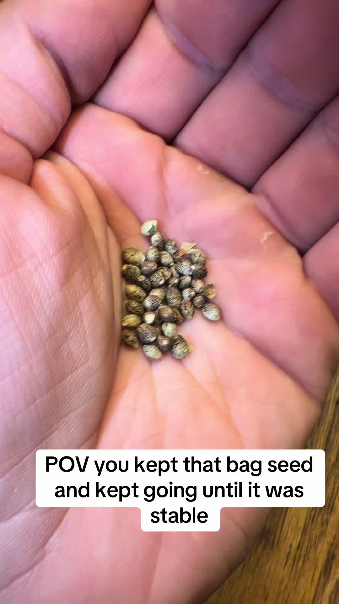 @SEEDTIVA