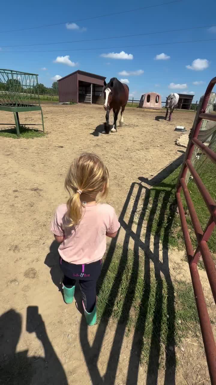 @ThunderGallops
