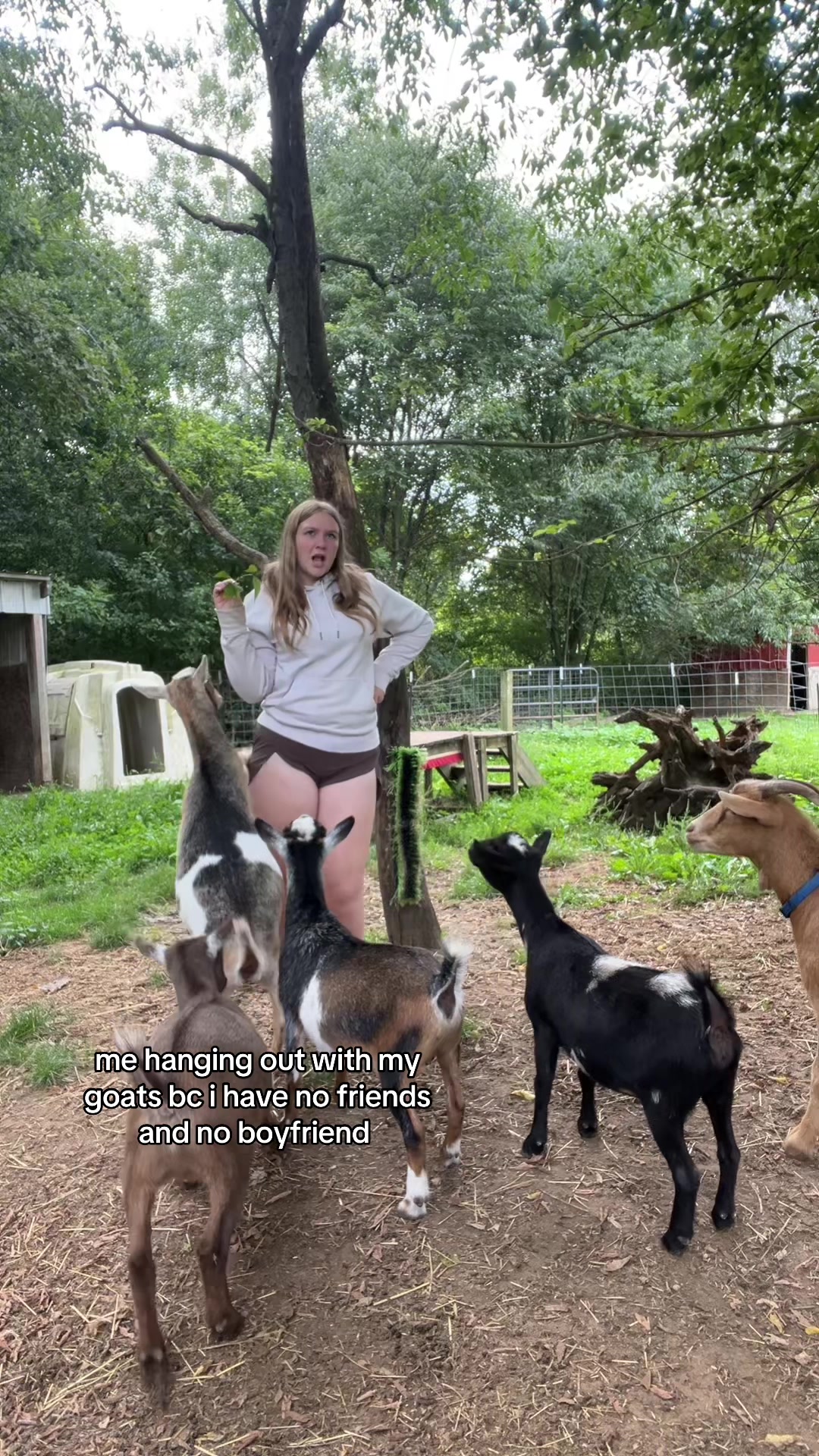 @justsarahscott