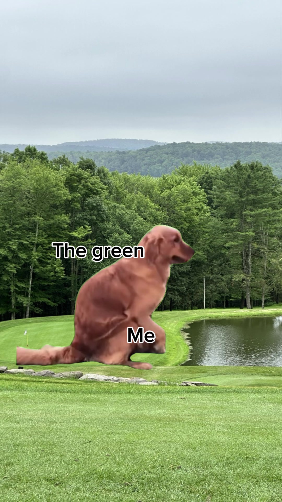@Cullen_Shaw_