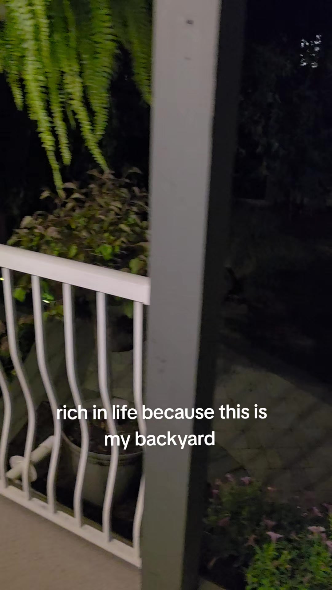 @Raccoon Drive Thru