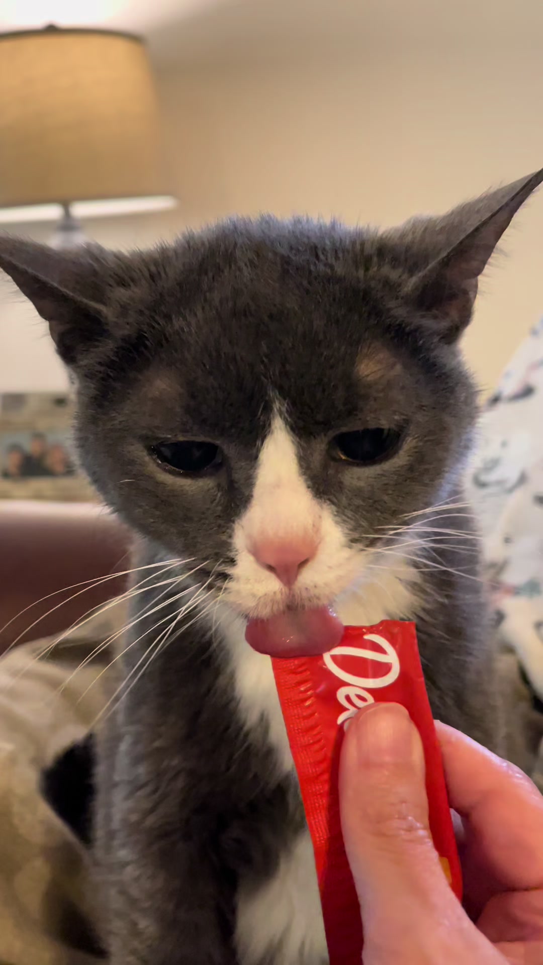 @Trixie the Tuxie