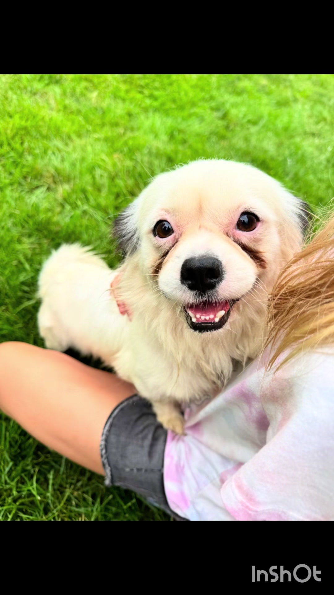 @Paws Deep Animal Rescue