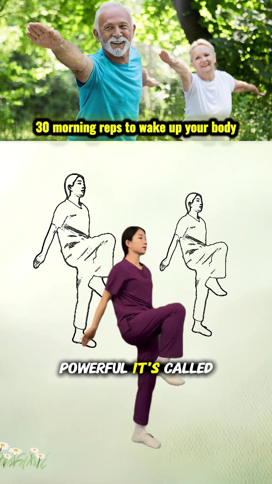@ocotaichi.guide
