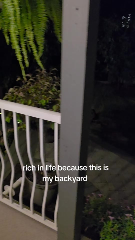 @Raccoon Drive Thru