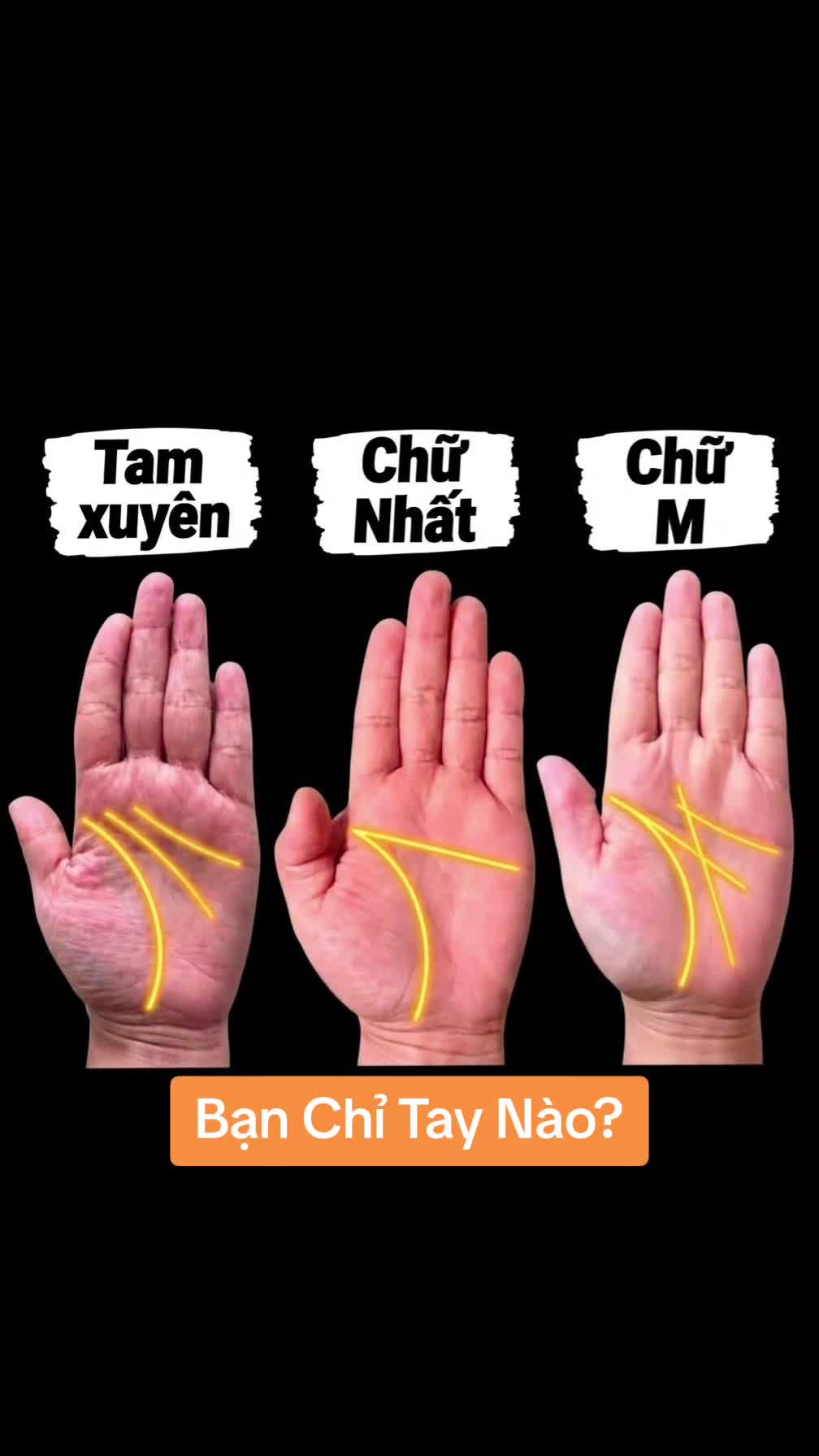 @Nhân Tướng Hiểu Mình