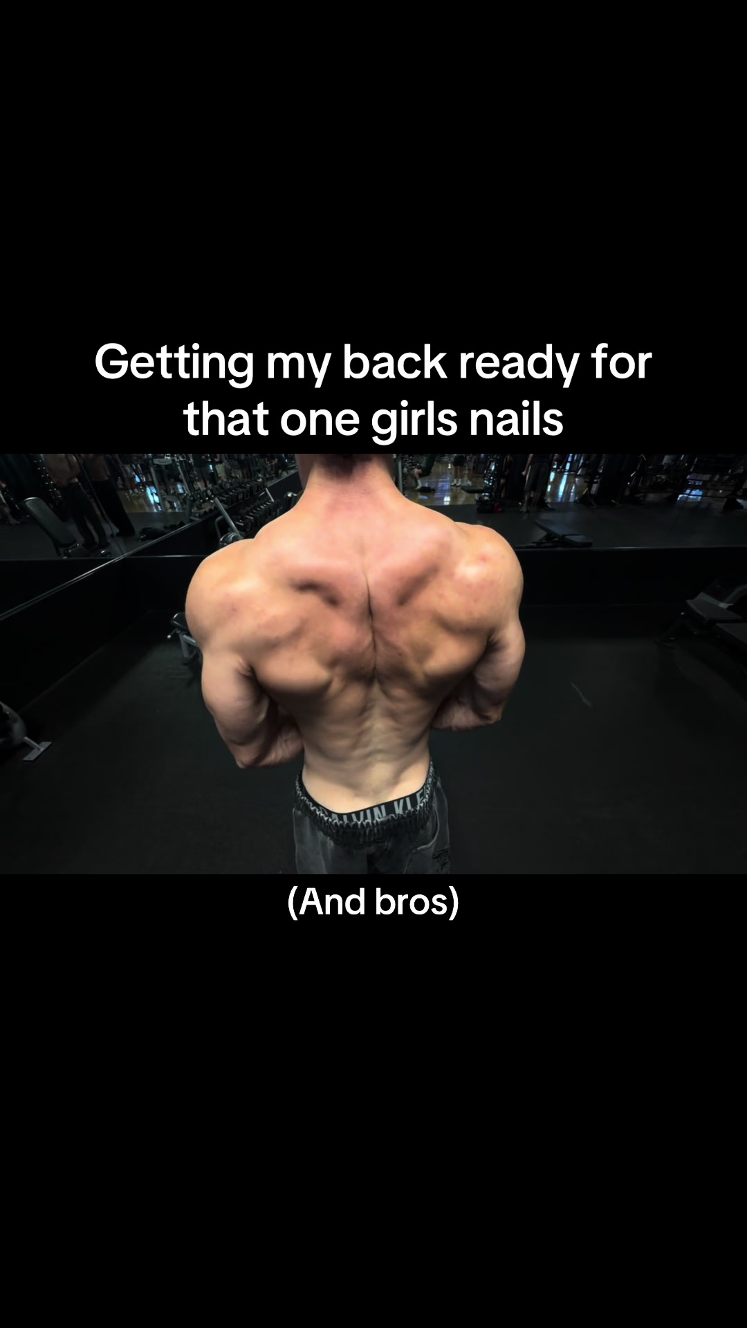 @seb