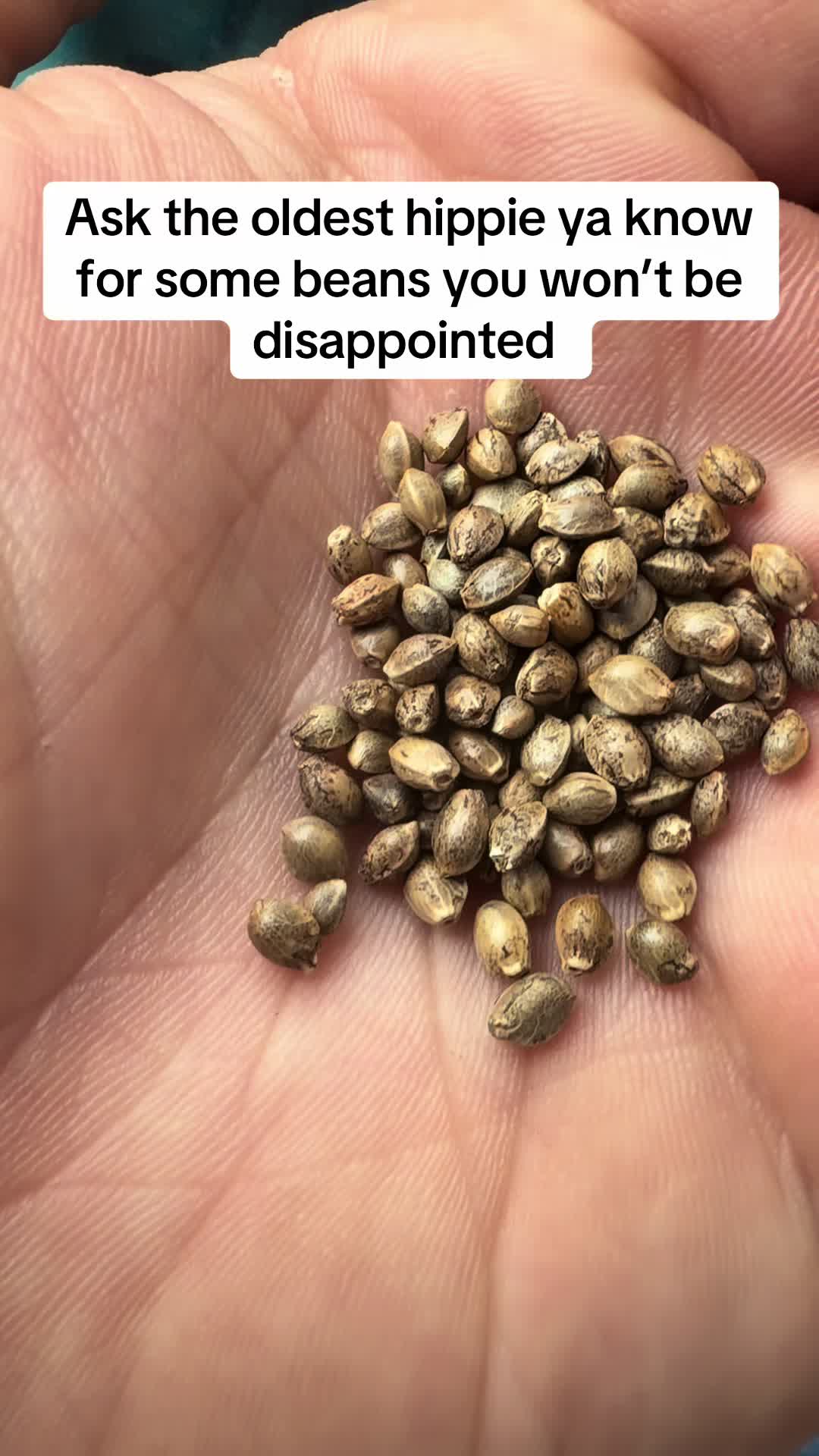 @SEEDTIVA