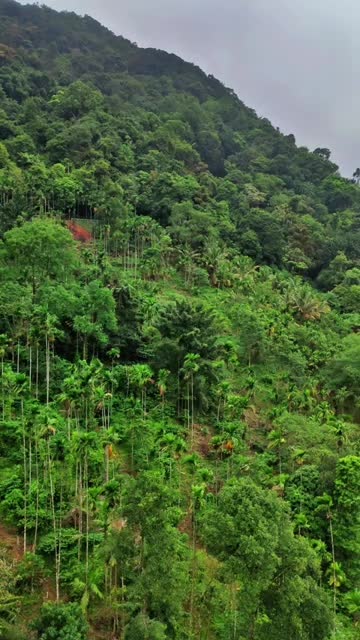 @♥️🤍🕊️ഫാത്തി🕊️🤍♥️