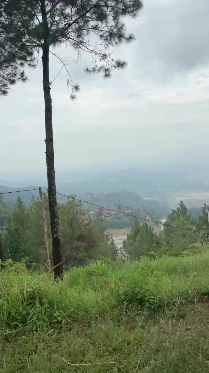 @de.naz25