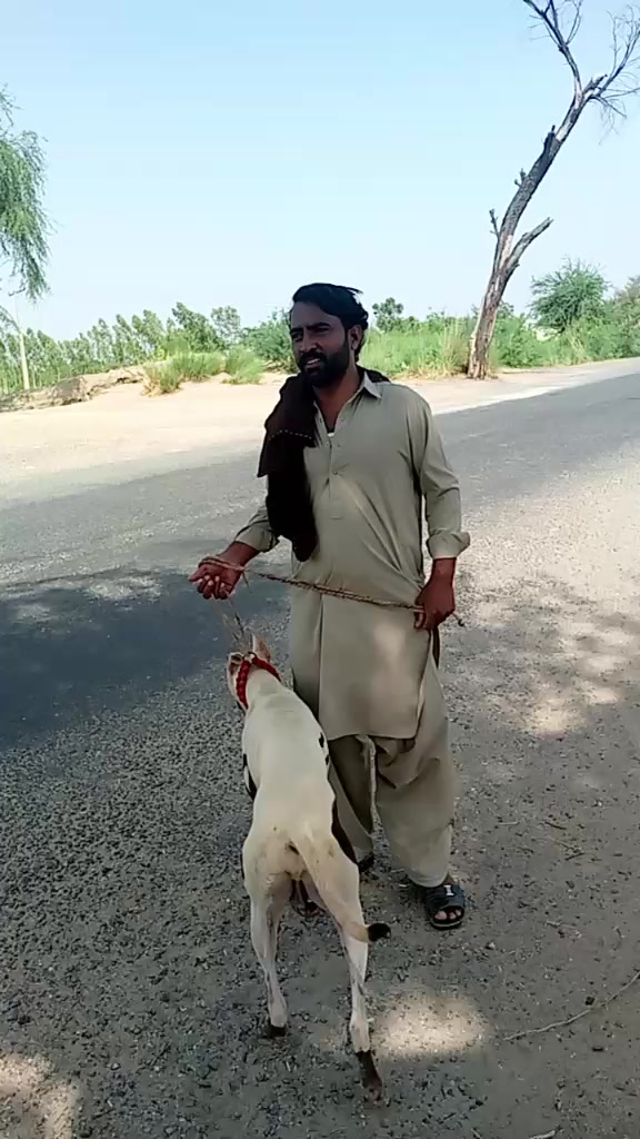 @QAmAR abbas