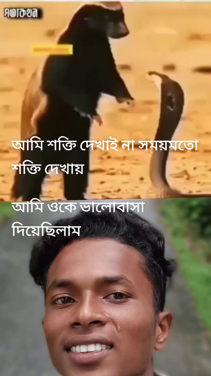 @Azad Mia