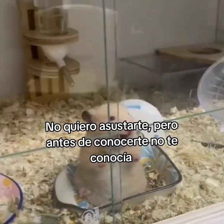 @goodvibessxd