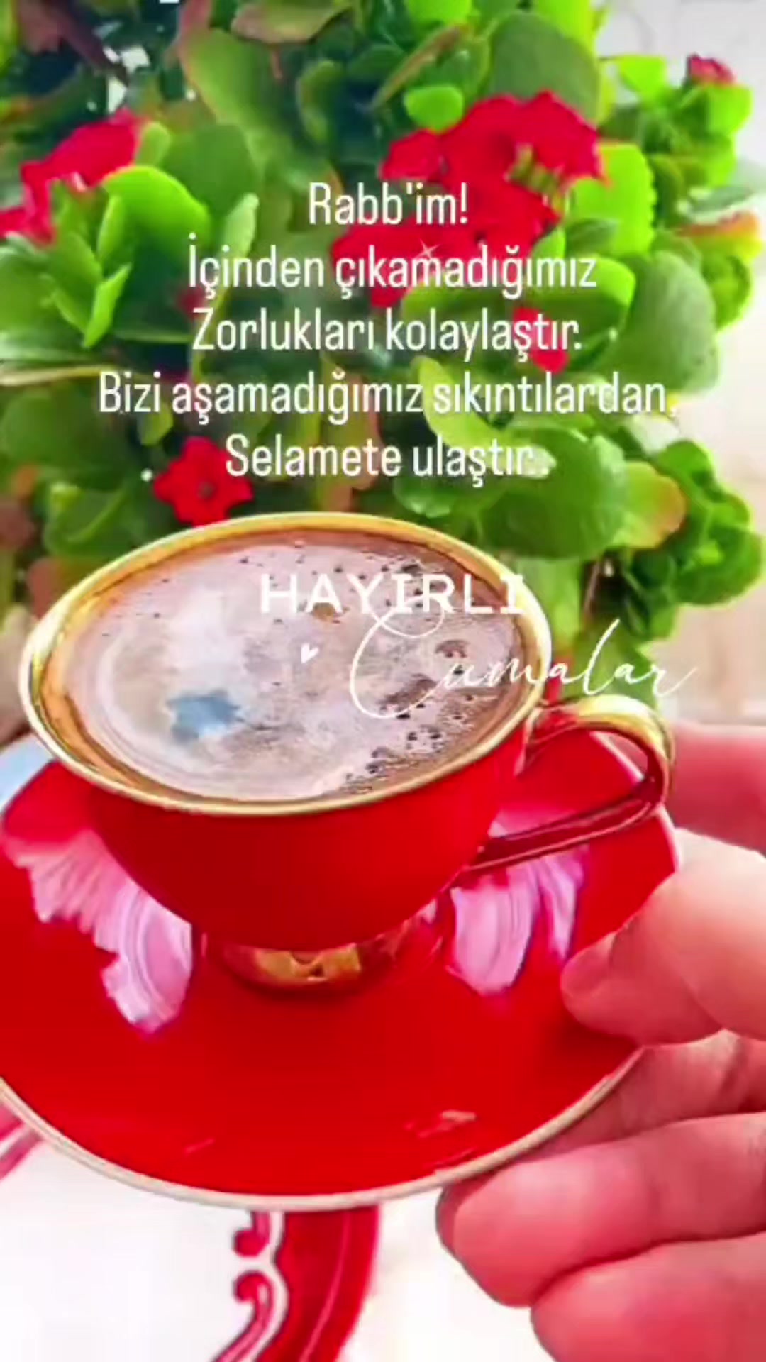 @Kendimce haller