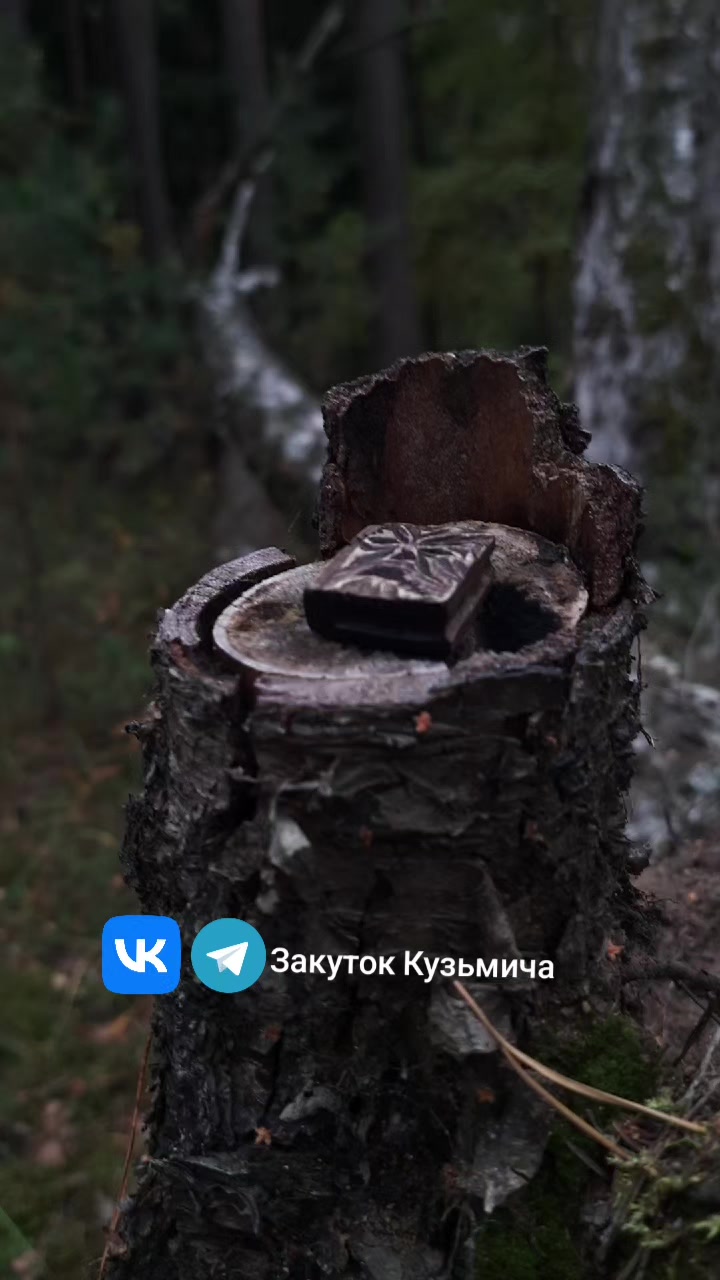 @zakutok_kuzmicha