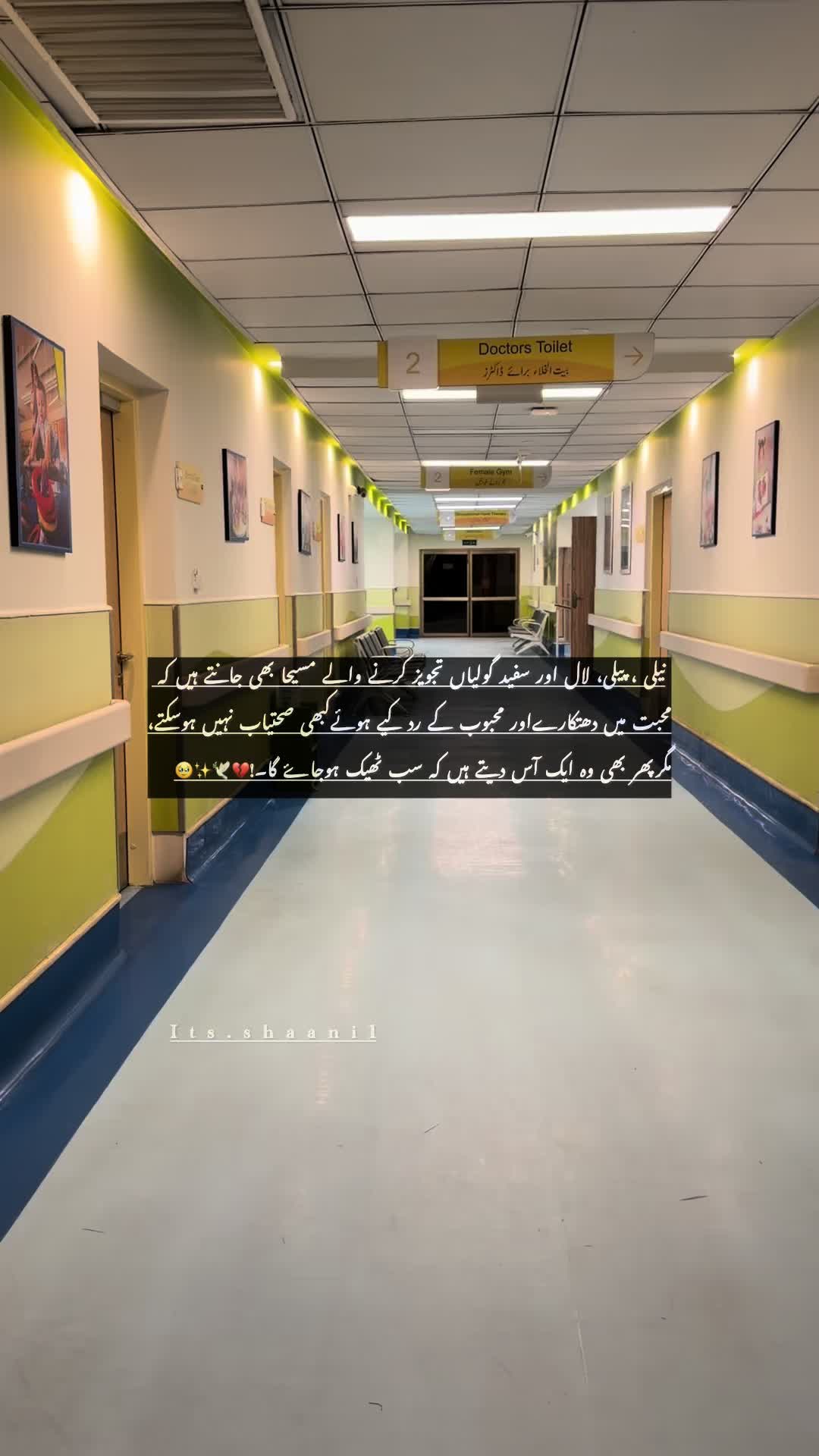 @✿༺ 𝒵𝑒𝑒𝓈𝒽𝒶𝓃 ༻✿