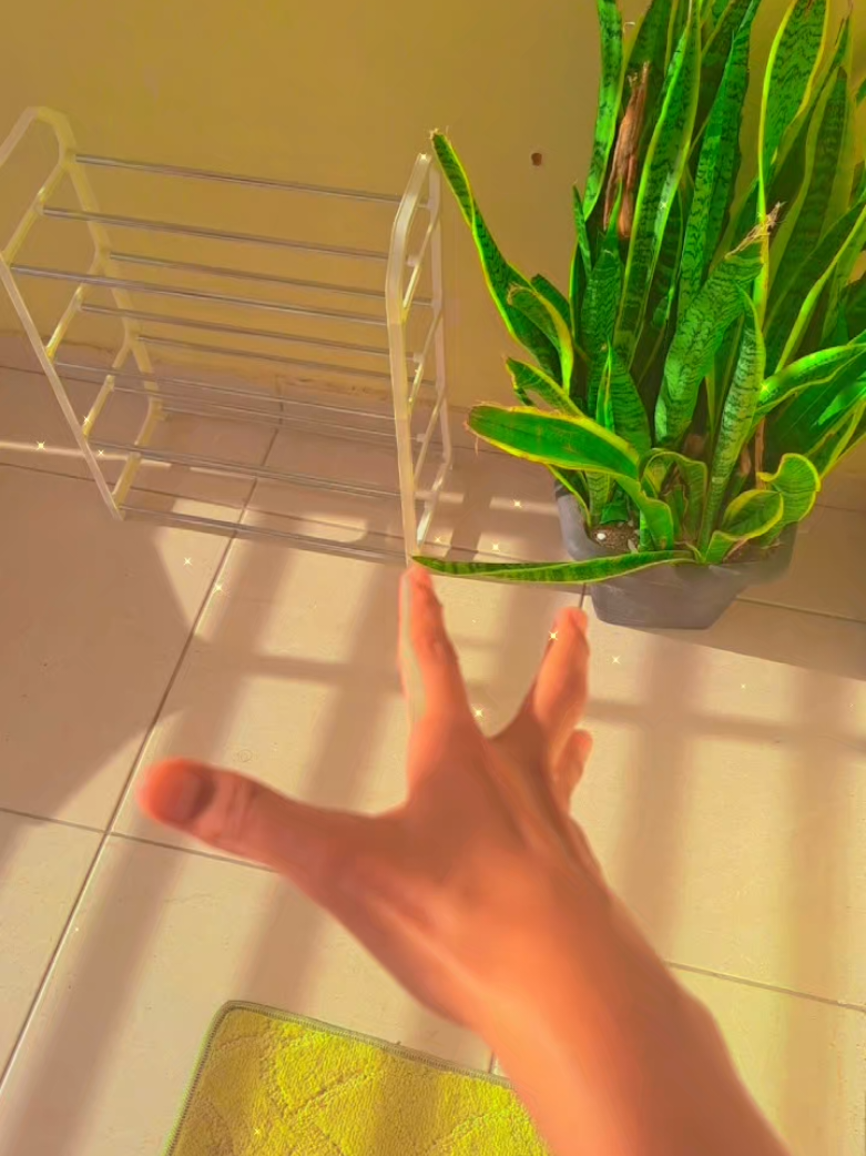 @🌱🧚🏼♀️𝐹ada Mah !🧚🏼♀️🌱