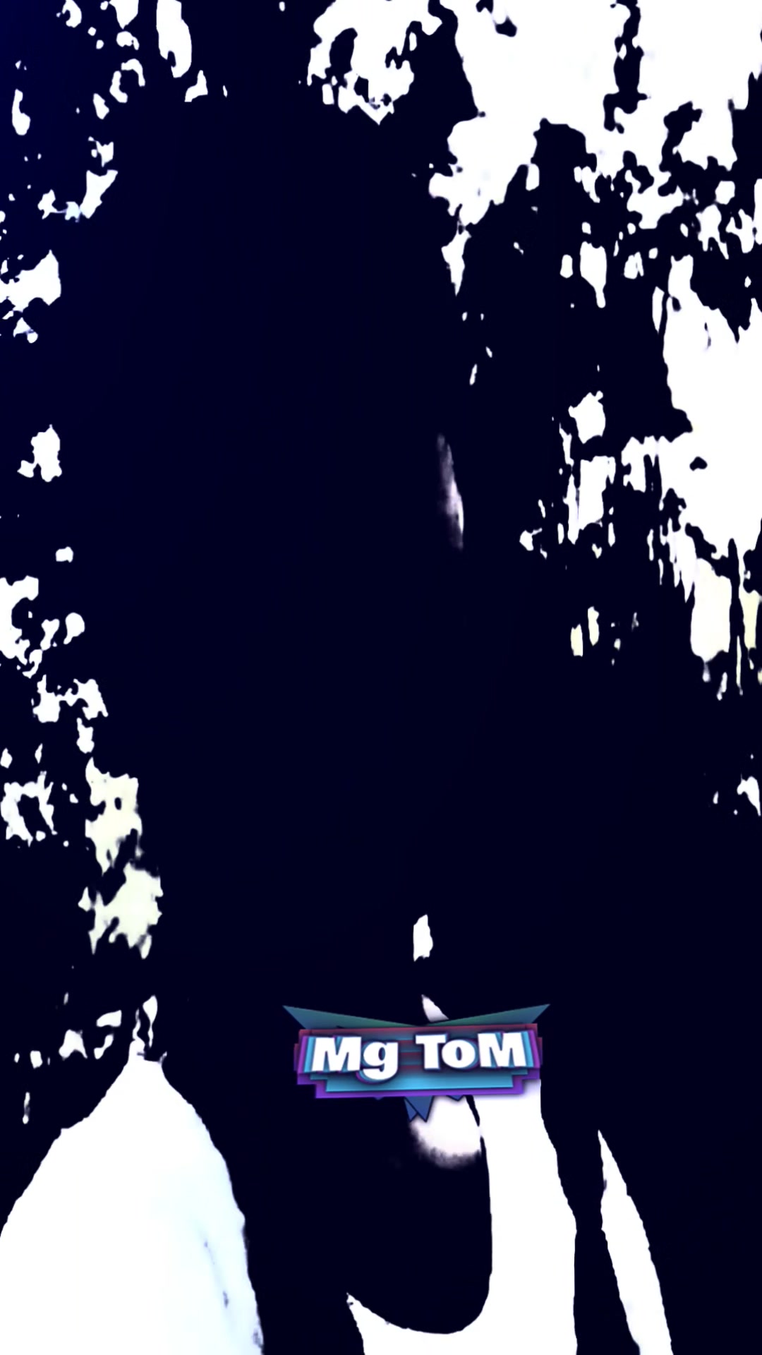 @Mg [ToM]&trade;✓V͇̿I͇̿P͇̿