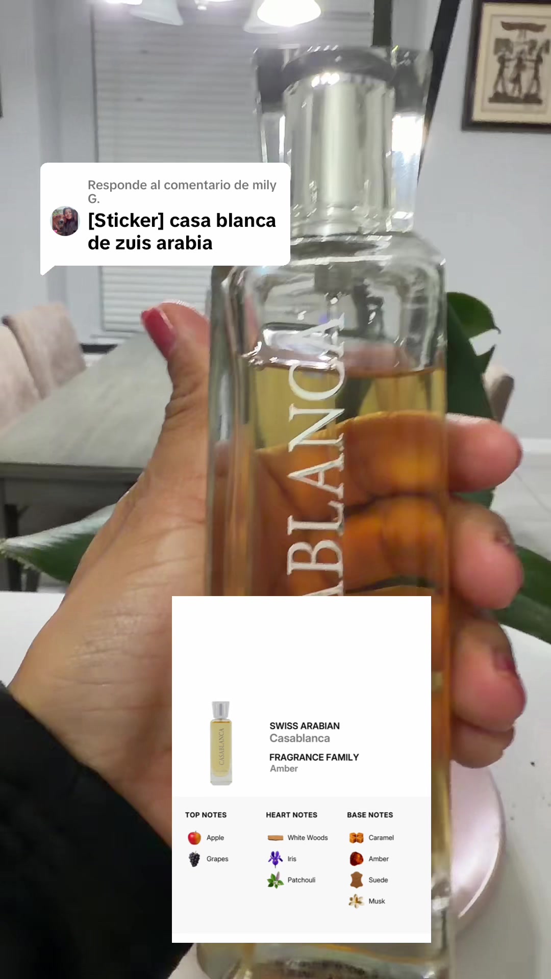 @meydidubon7