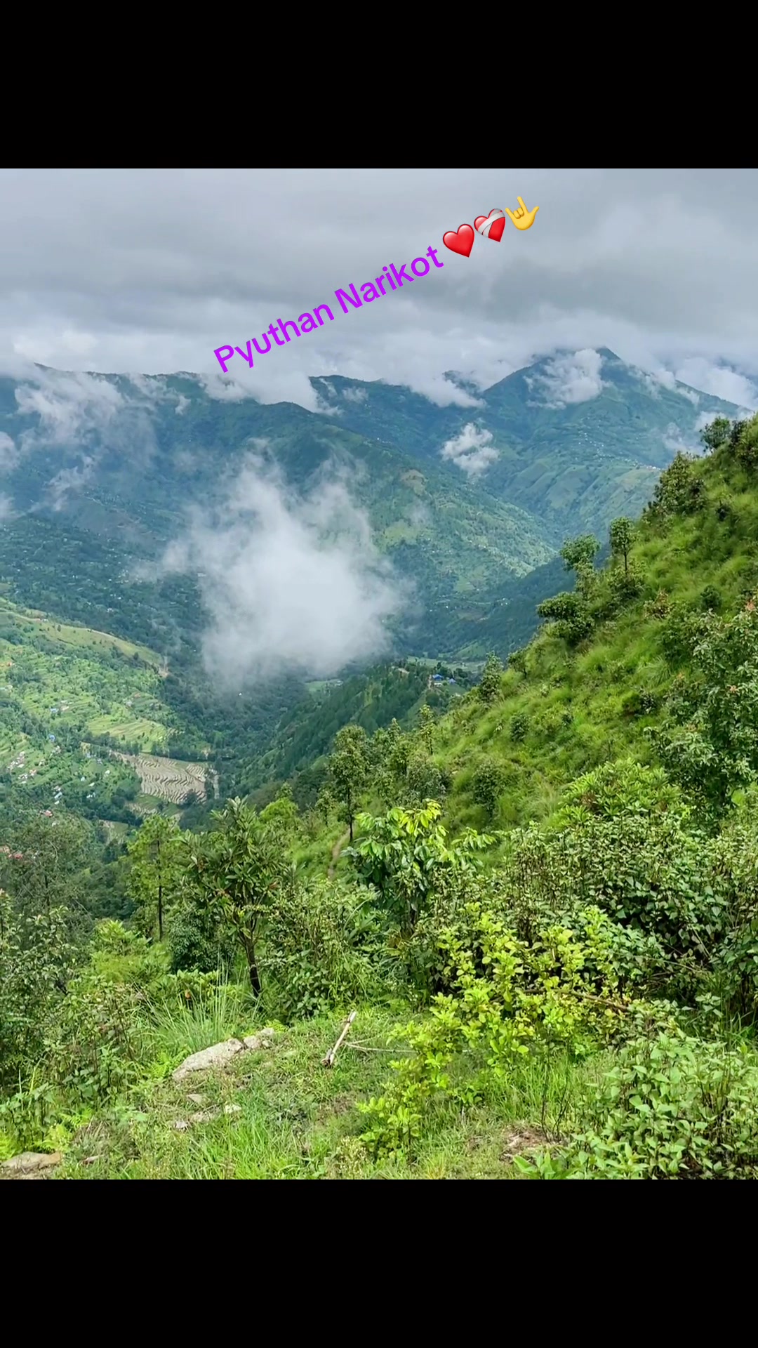 @Suresh puri 
