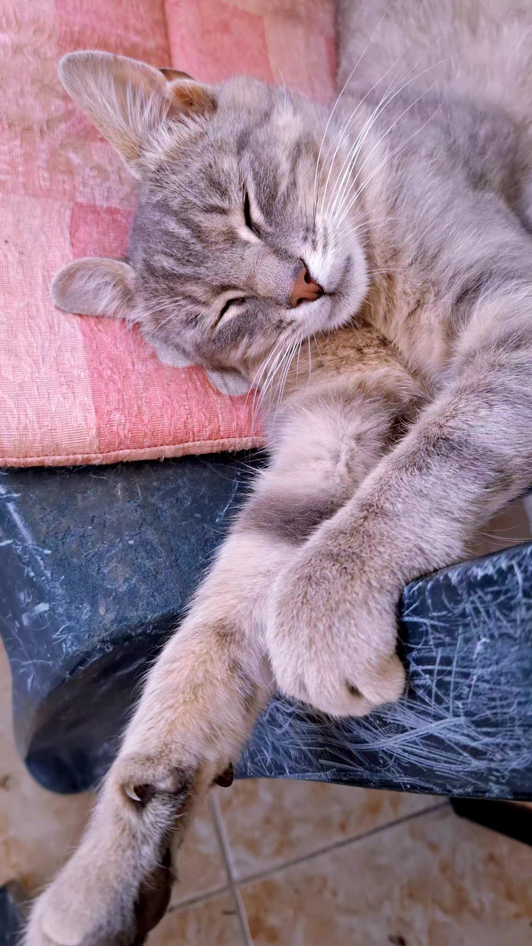 @ₛₗₐₜₖₐ ₘₐₗₐ ᵢzᵥᵣₙᵤₜₐ ₜₒᵣₜₐ🍒