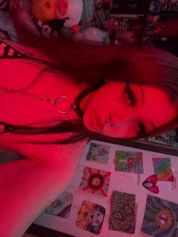 @kat¡e ⋆🐾🦴˚