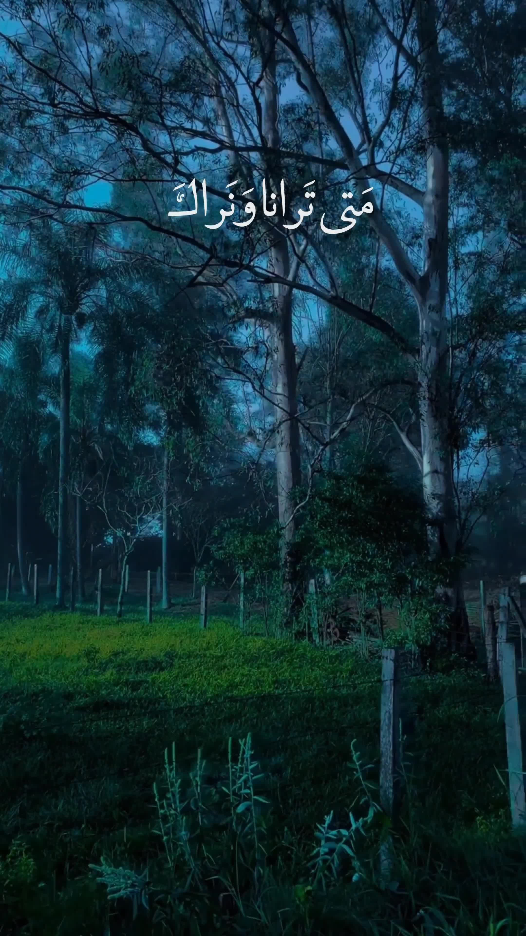 @ابِـن عَـقـيِل||𝟐𝟎𝟎𝟖/