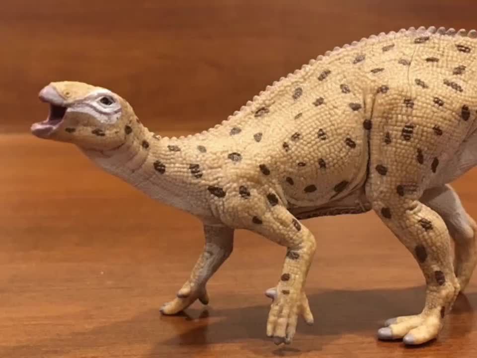 @ankylosaurusdagoat