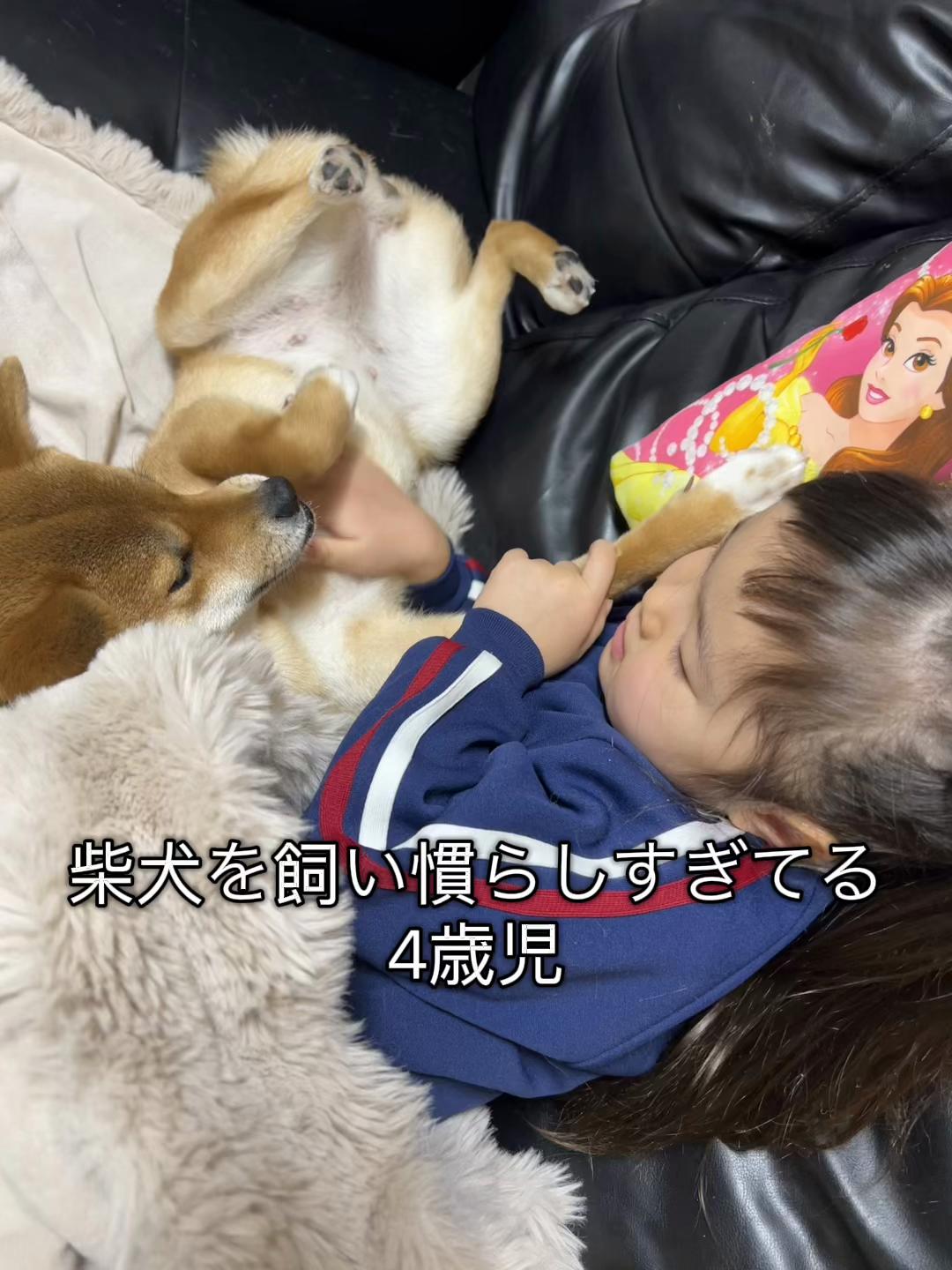 @シャクレ犬