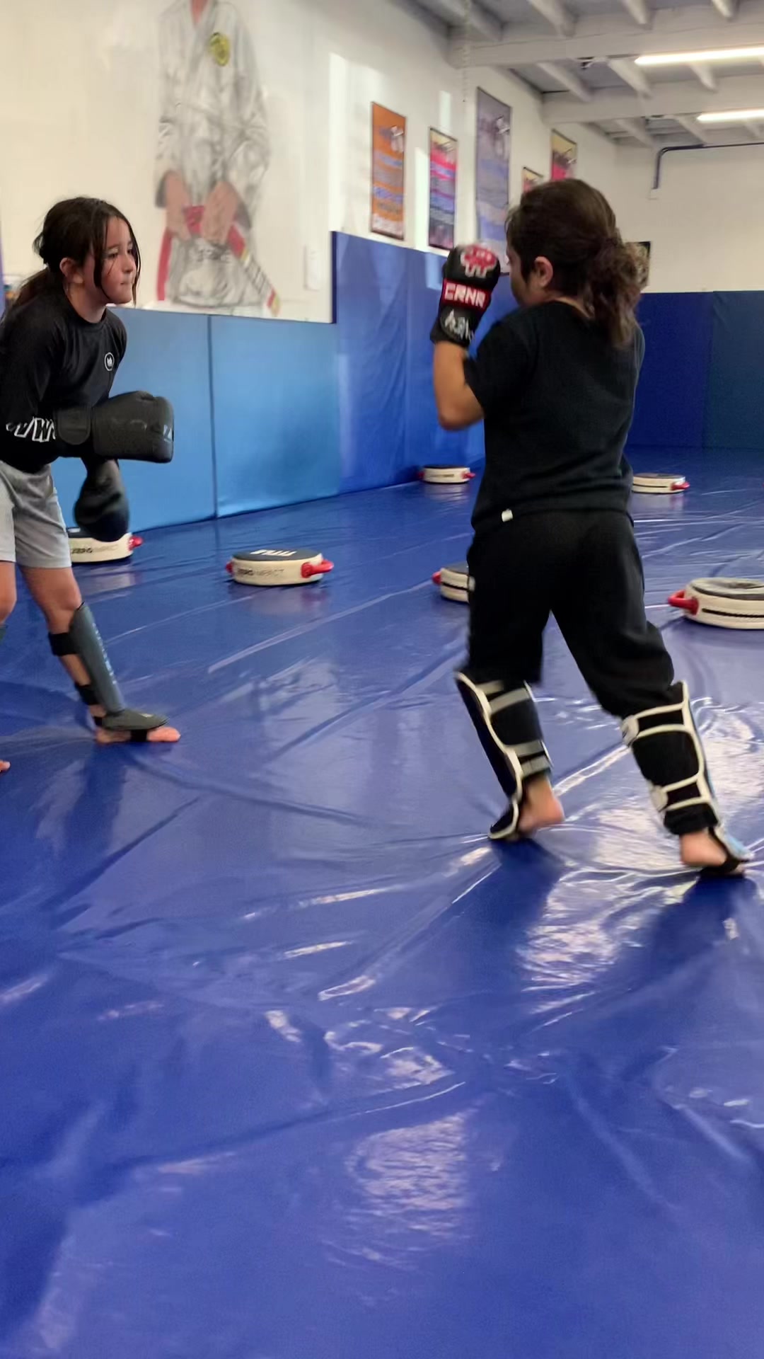 @BMAA