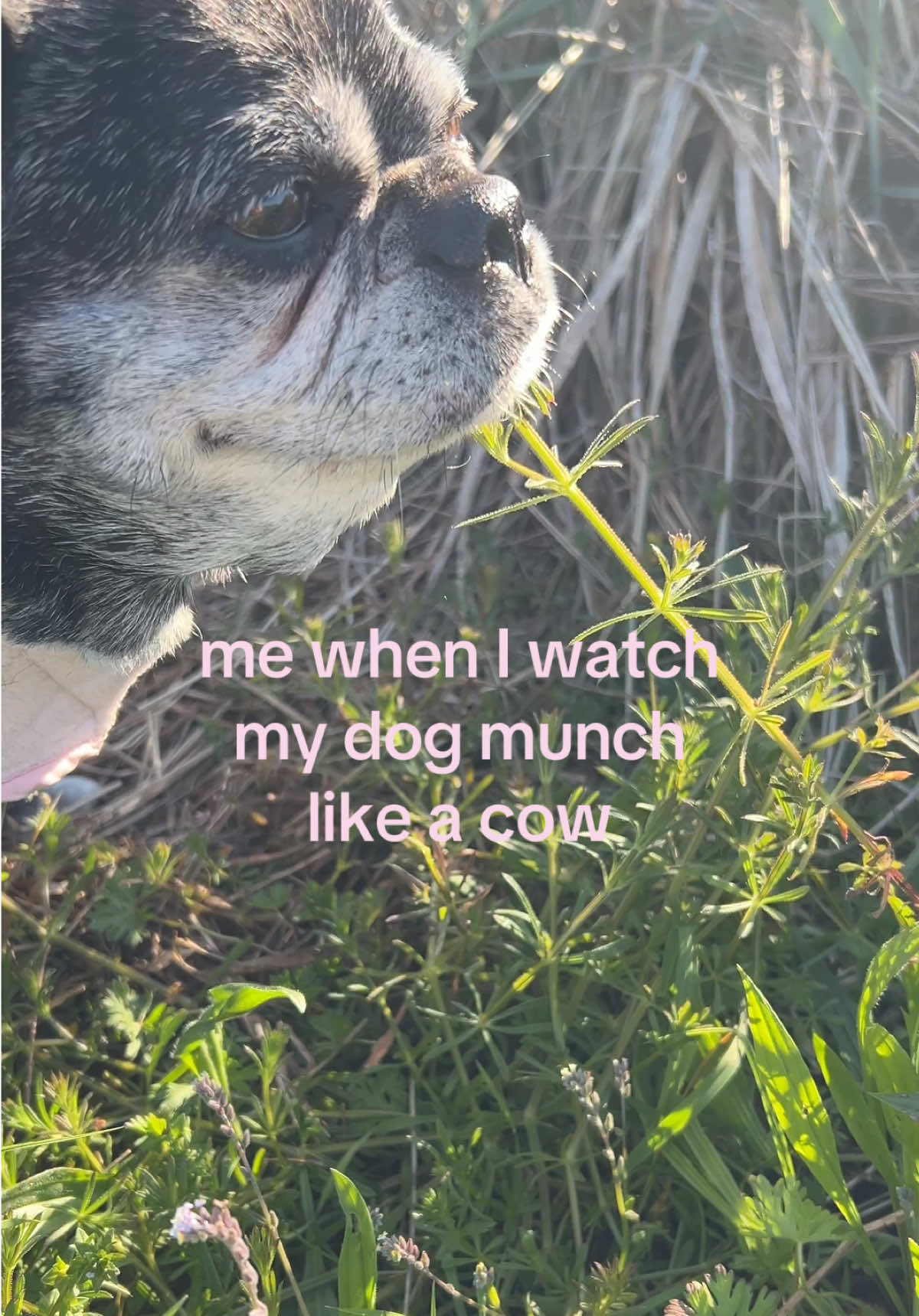 @Julianna <3