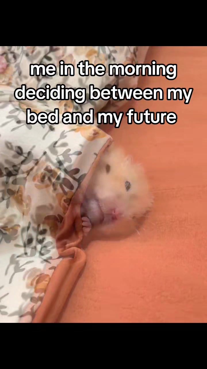 @sacred_lyon