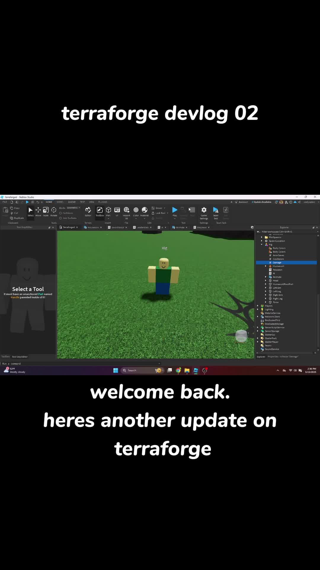 @random terrarian
