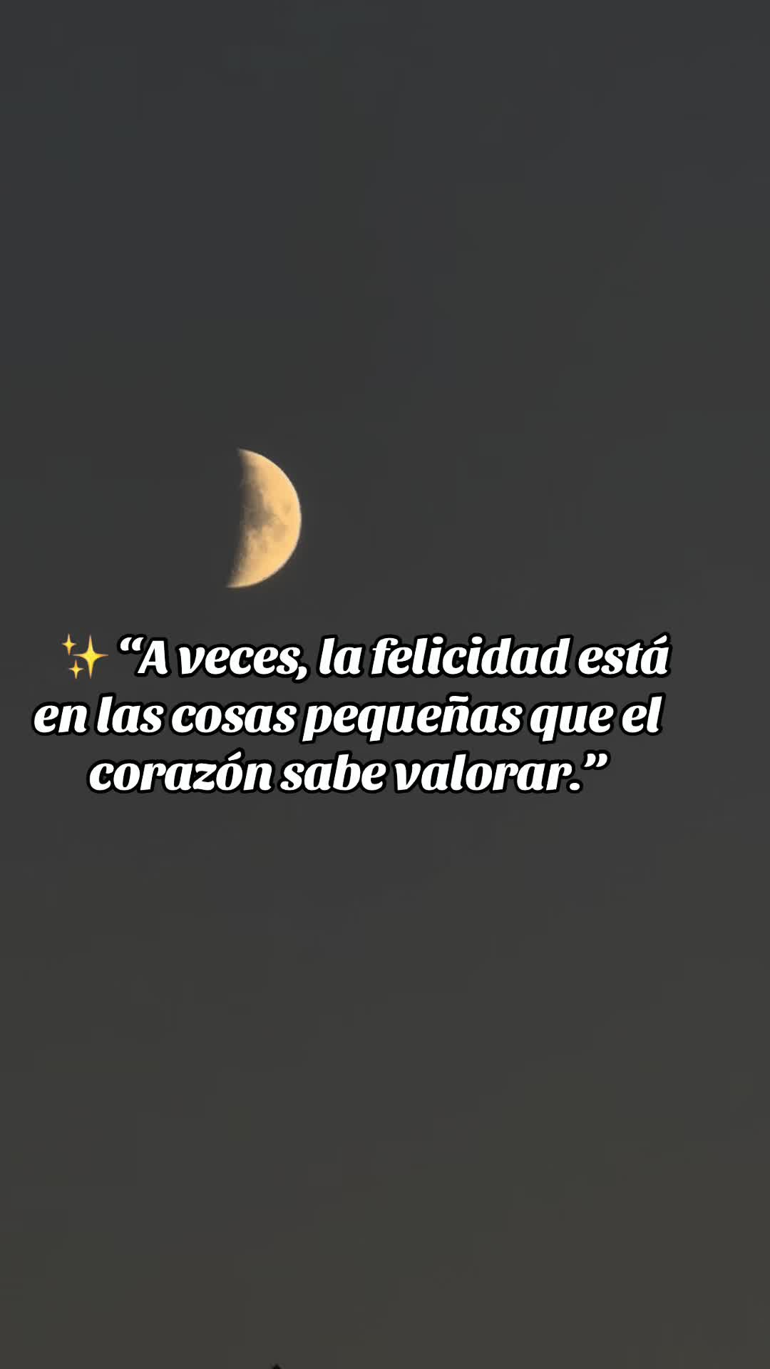 @flaco_S17