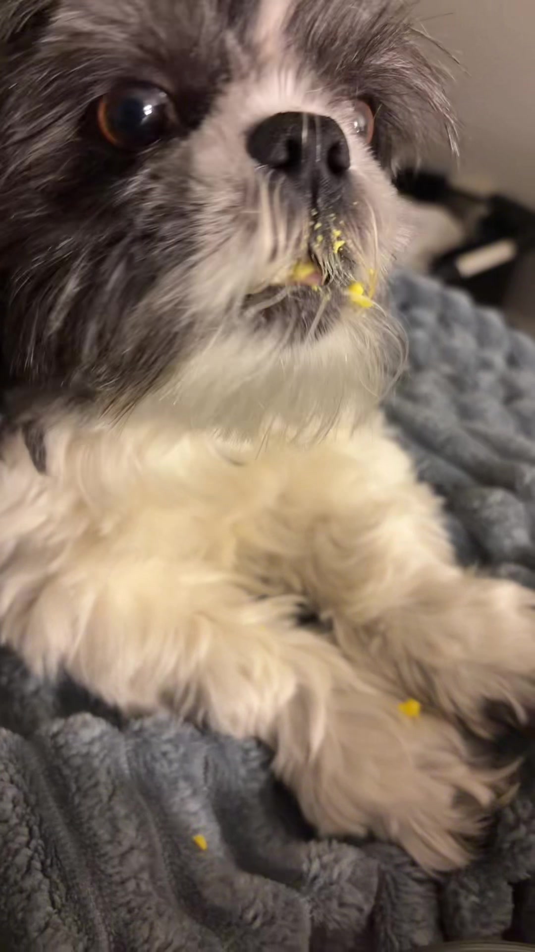 @livinlifewithsugieandsonny