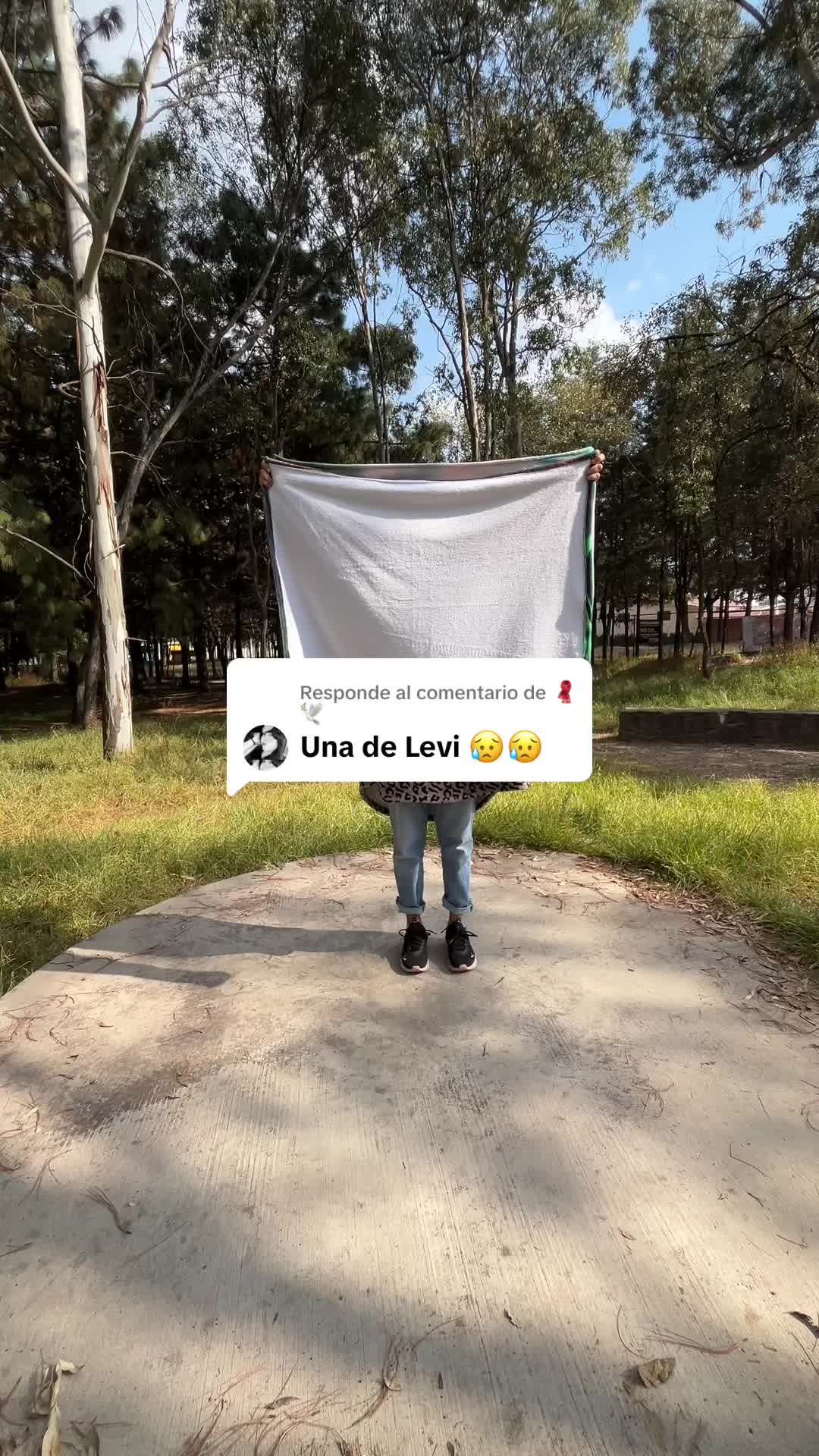 @Leaf Studio Mx