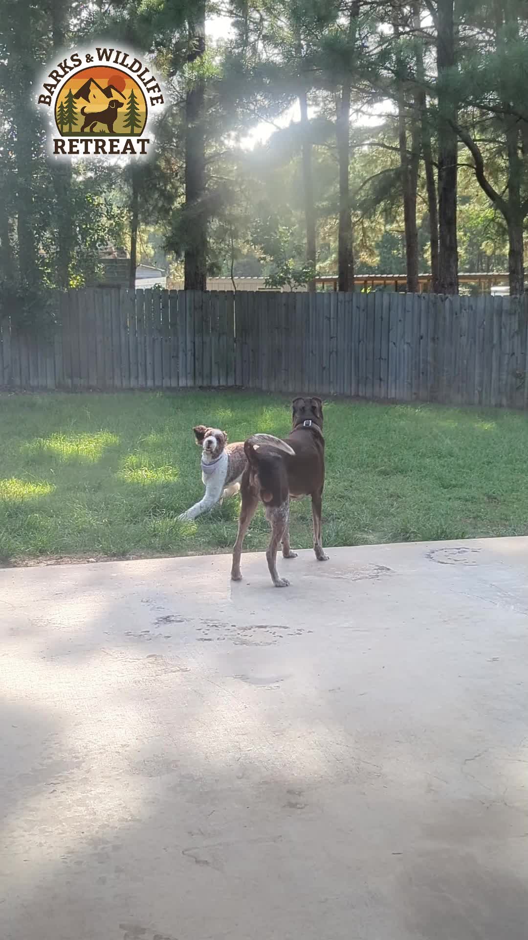 @Barks & Wildlife Longville LA