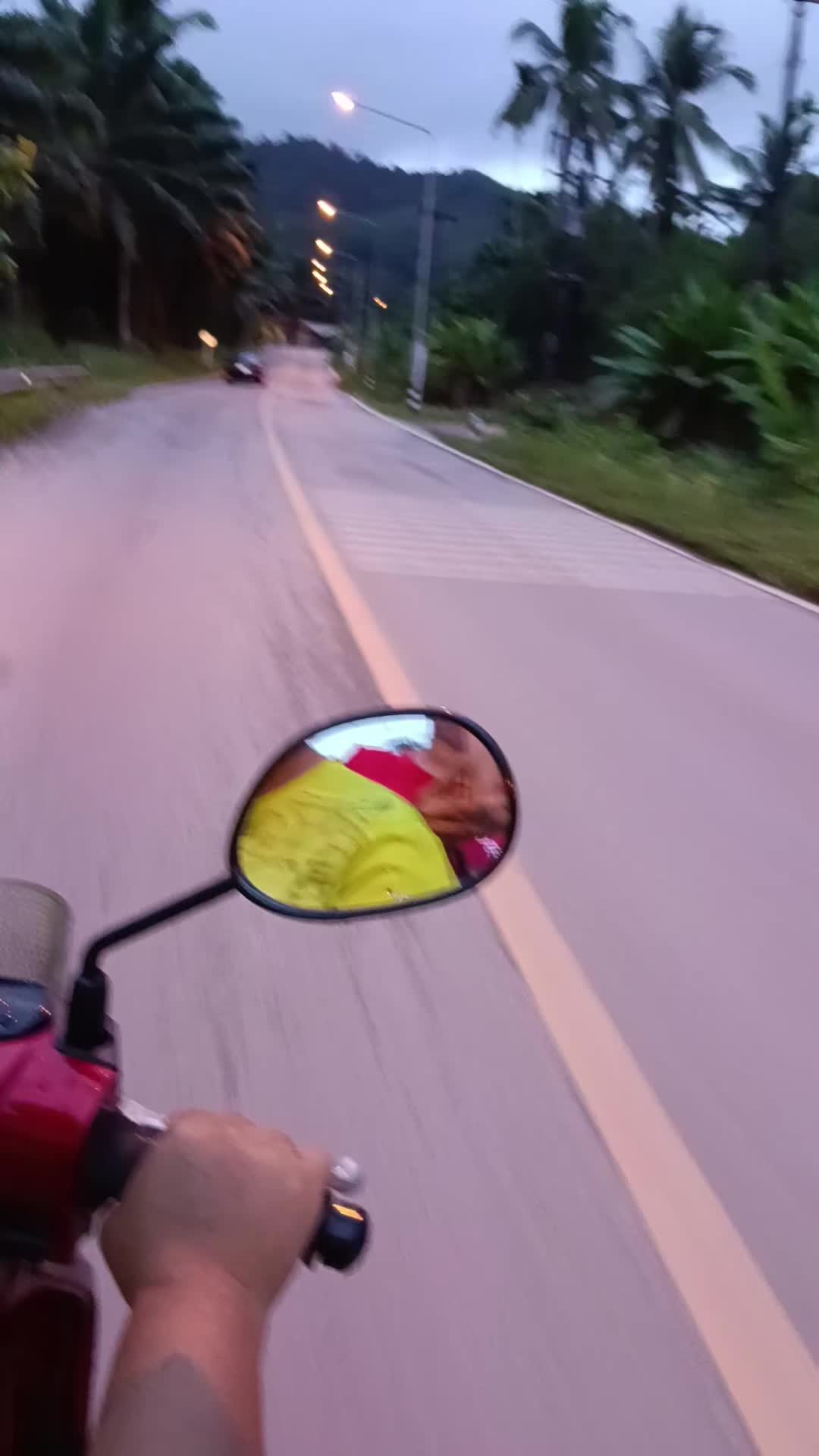 @amonrat301