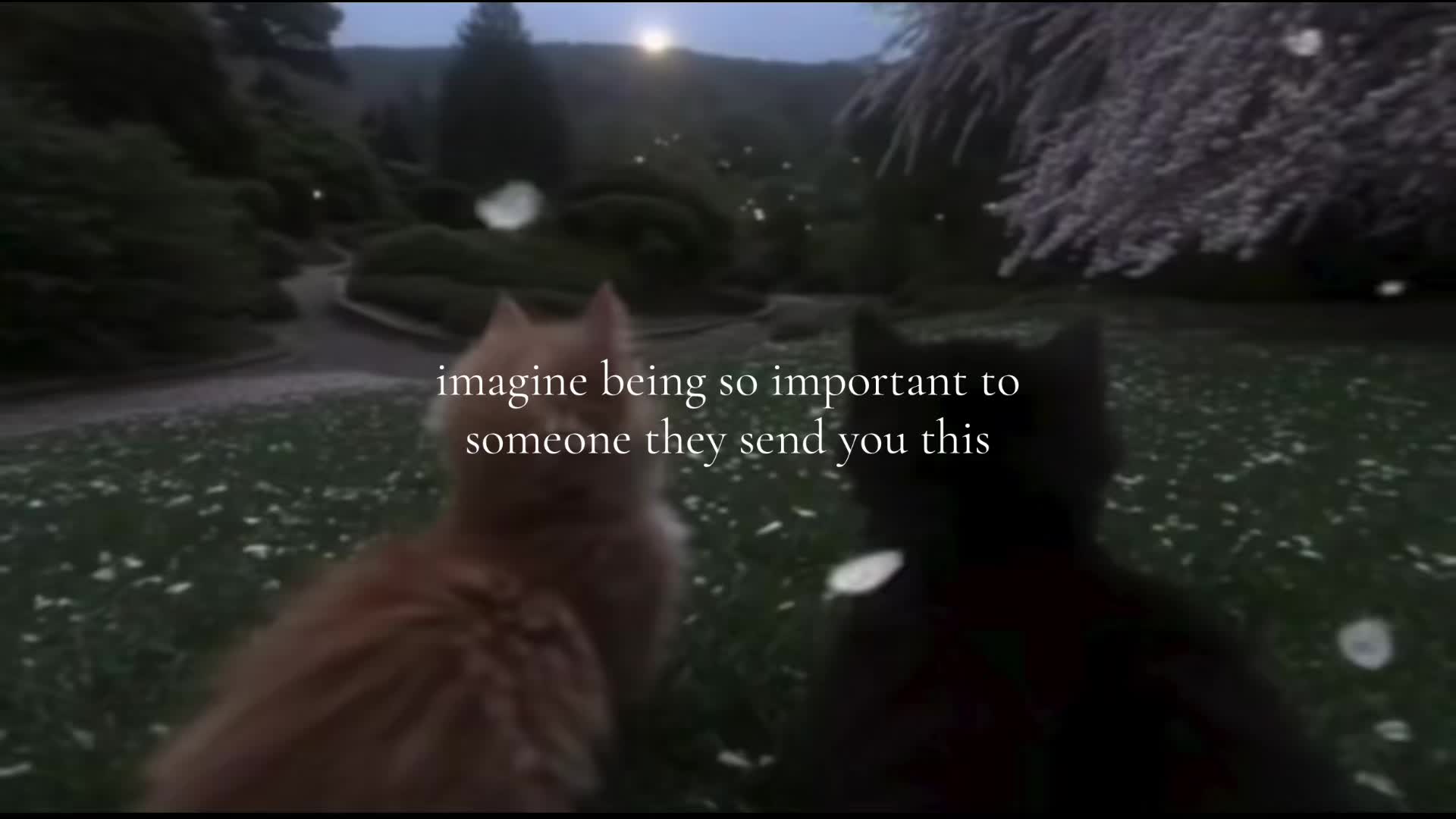 @𓇼 𝓙𝓪𝓮𓏲*ੈ
