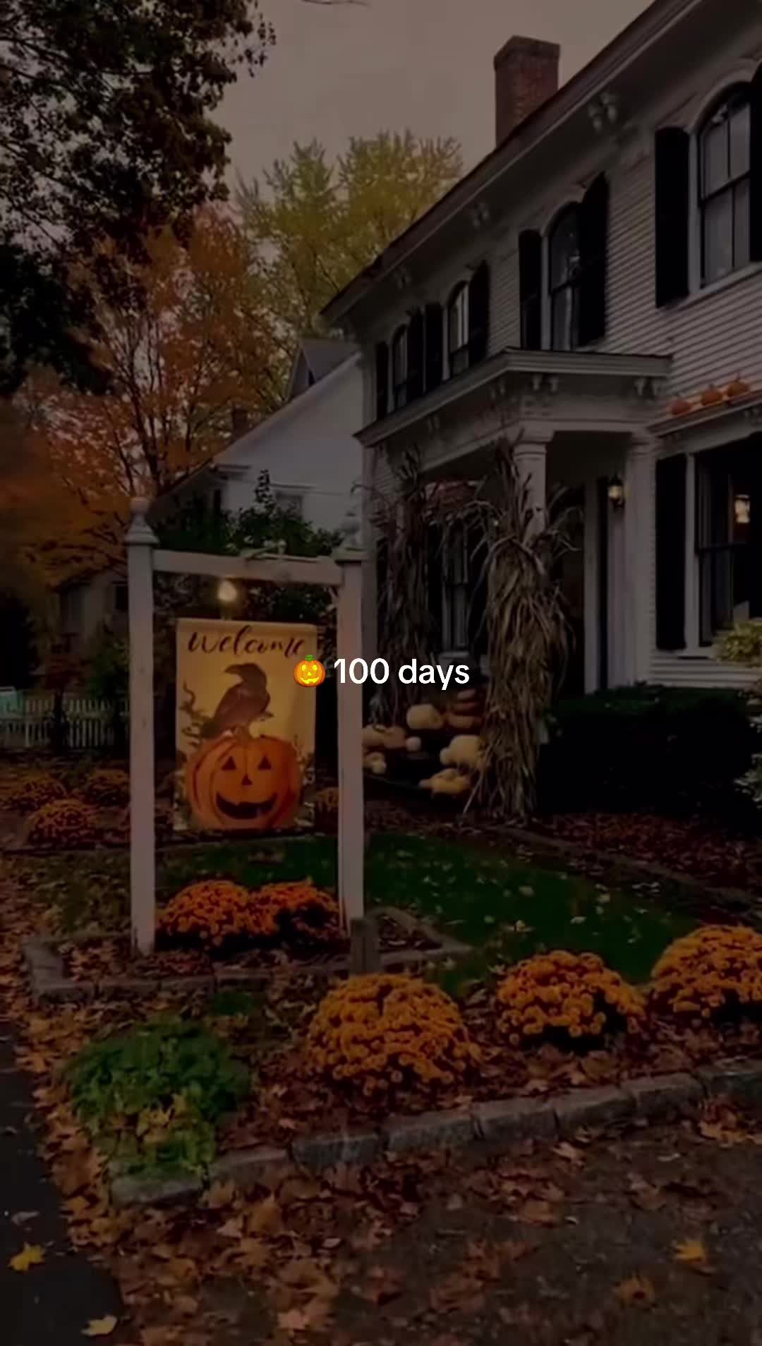 @spookyseasonftw