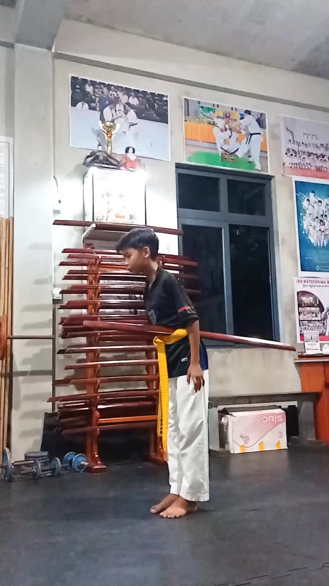 @sawsharlujohn
