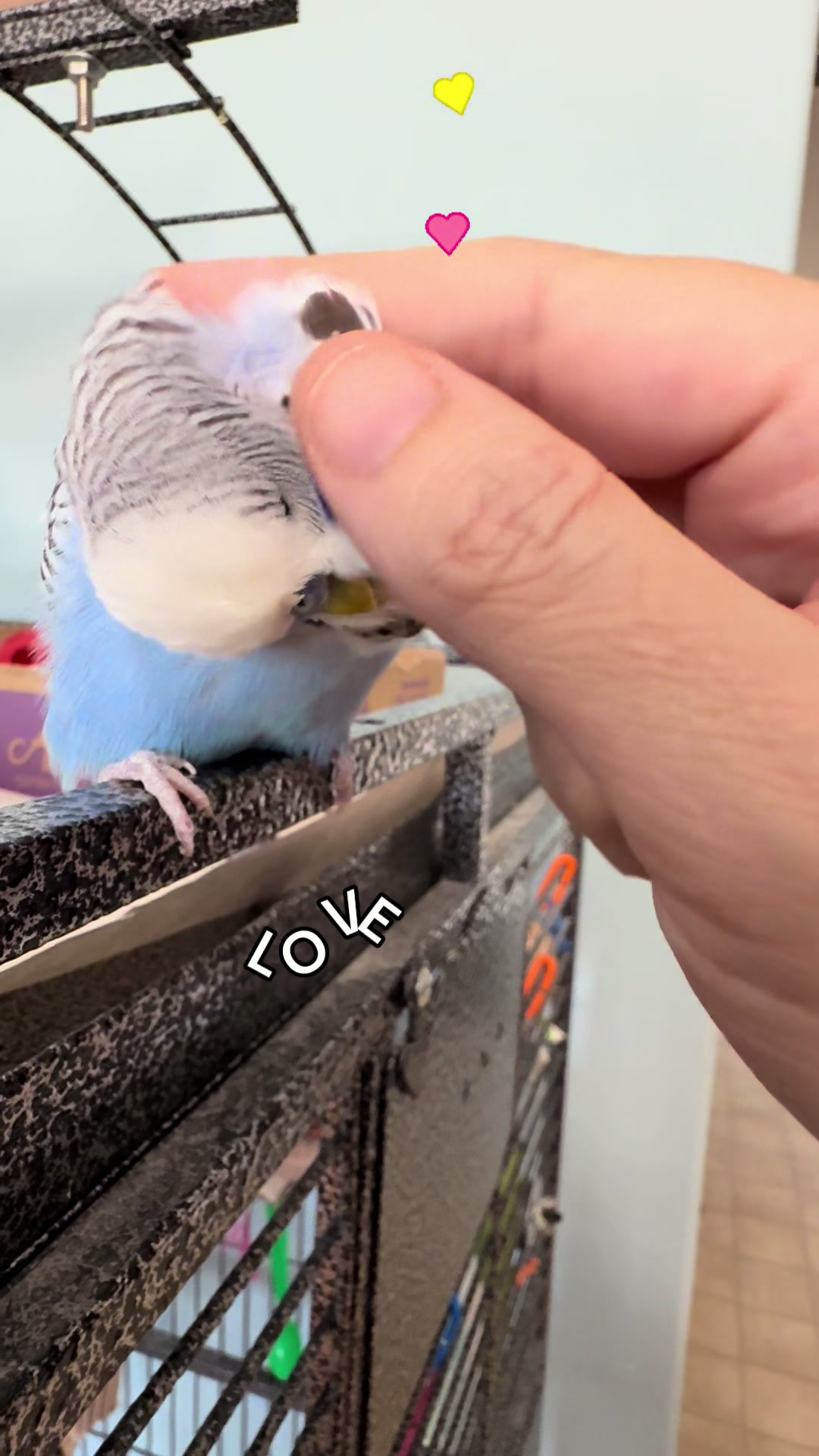 @Rupeedoo
