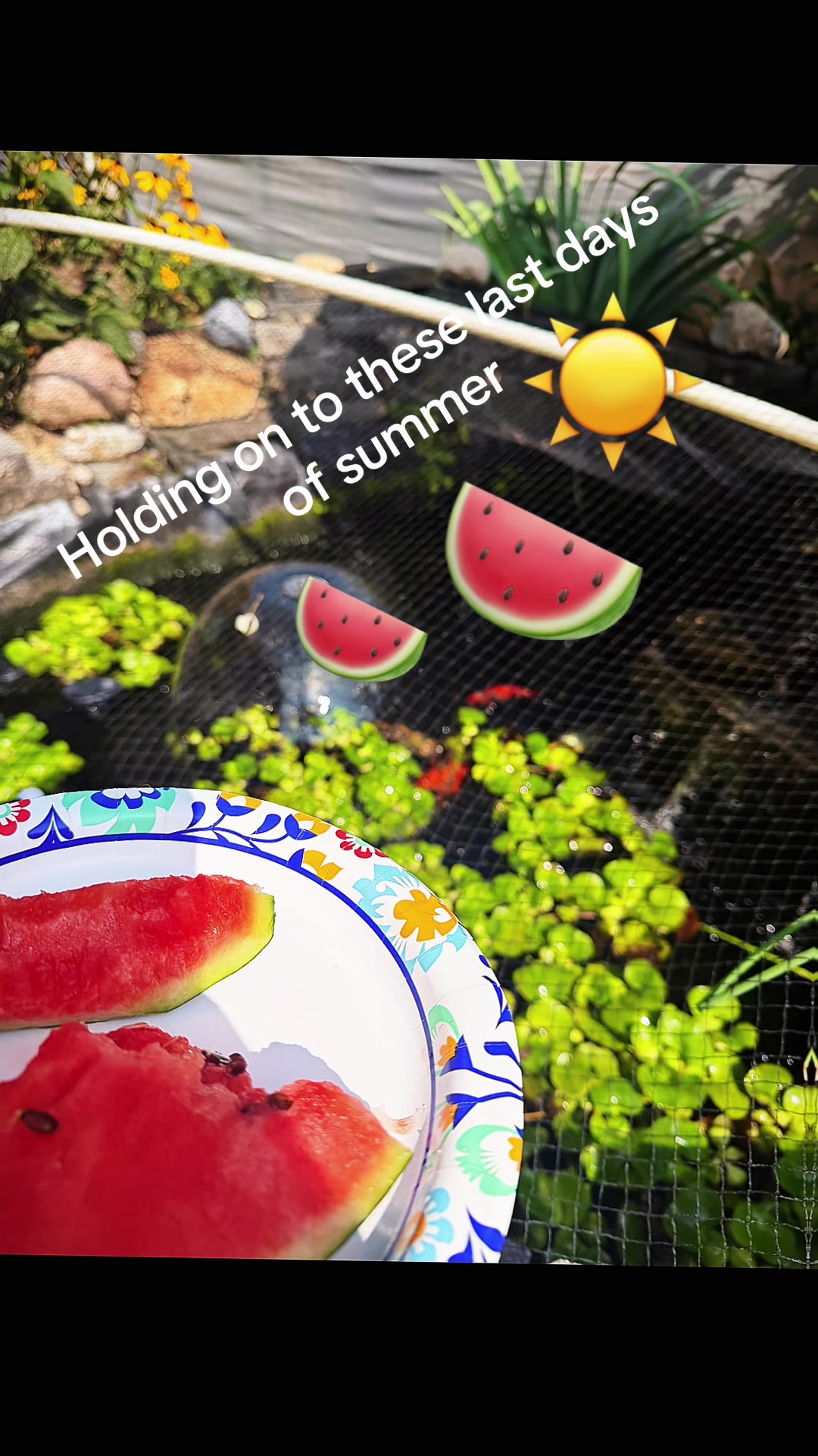 @DirtyGloveGardening👨🏾&zwj;🌾